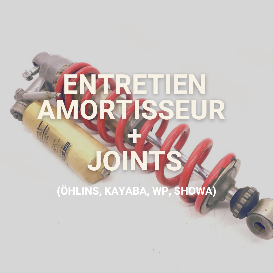 Entretien Amortisseur + boitier joints complet