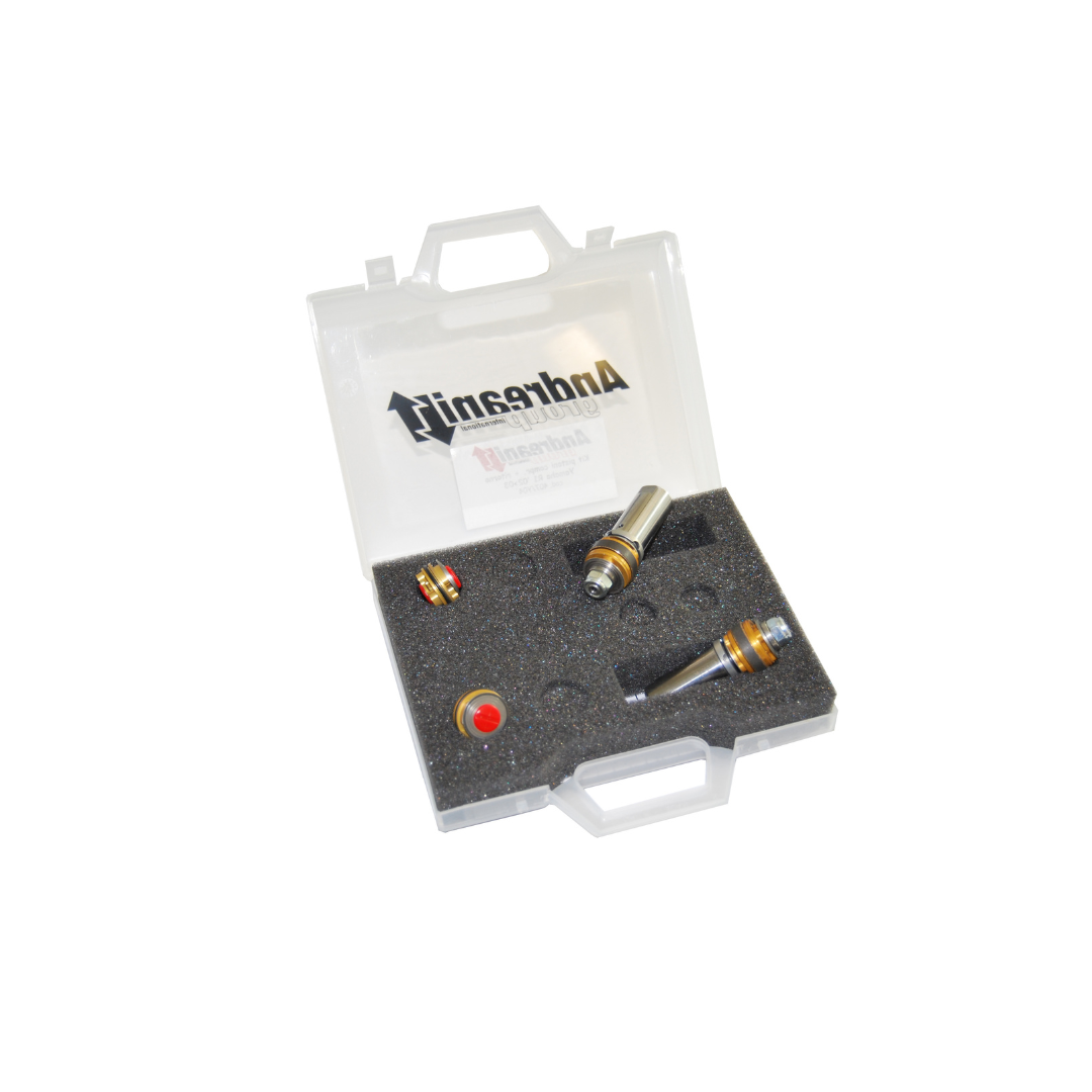 Kit piston fourche compression et detente Andreani
